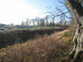 Reigate Fort