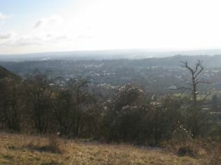 Reigate Hill